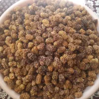 توت خشک