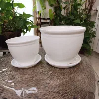 گلدان پلاستیکی