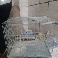 قفس نو و کارکرده