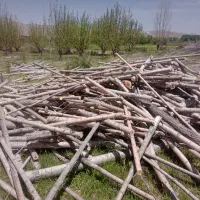 خریدار انواع چوب شما