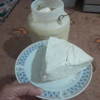 پنیر گوسفندی خالص بهاره
