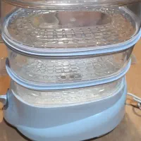 بخار پز کلترونیک