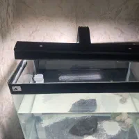 اکواریوم شکسته