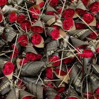 گل کاغذی|گل و گیاه طبیعی|تهران, بلورسازی|دیوار
