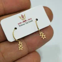 یک عدد گوشواره گم شده