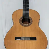 گیتار آلمانی