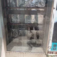 فر مرغ گردان یا بریونی ۶ سیخ