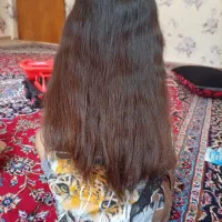 موطبیعی