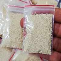 پودر شپش