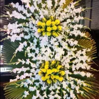 گل طبیعی متن پایین بخون
