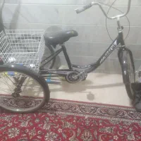سه چرخه 24 بزرگسال بانوان مدل آپاچی