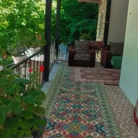 والا جنگلی در کنار رودخانه