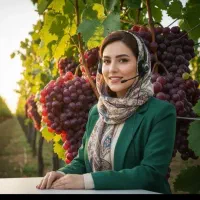 فروش نهال سیب انگور پسته بادام گردو صنوبر پسته