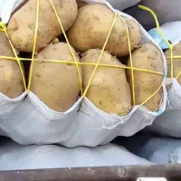 خیار|خوردنی و آشامیدنی|اصفهان, مسجد مصلی|دیوار