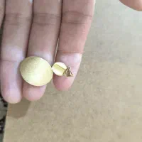 پلاک