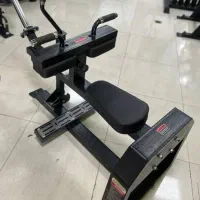 ساق نشسته