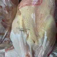 مرغ و قطعه بندی کشتار روز