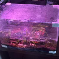 اکواریوم ۶۰در۴۰