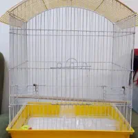قناری