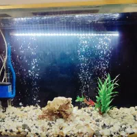 آکواریوم شیشه خم با تجهیزات کامل