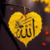 آینه بینی ، و آینده گویی