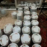 ظروف گلسرخی  (عضوکانالشو)