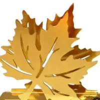 جا دستمال کاغذی استیل در انواع طرح ها