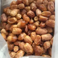 خرما زاهدی
