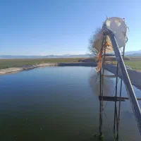 اجاره استخر پرورش ماهی