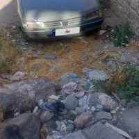 پژو آردی عدسی