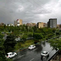 استخدام شاطر / حقوق توافقی