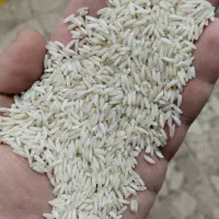 برنج هاشمی دودی