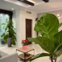 مطب خاص برای افراد خاص