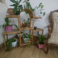 پایه گلدان بدون گلها