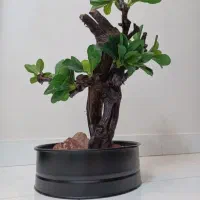 گل مصنوعی|گل مصنوعی|تهران, ارجمندی راد|دیوار