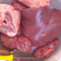 جگر گوساله