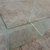 آکواریوم