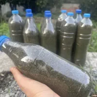 نعنا خشک و عرق نعنا