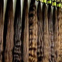 خریدار موی طبیعی پرداخت قبل از کوتاهی تسویه آنی