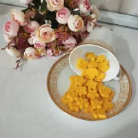 قندونبات گیاهی