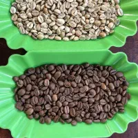 قهوه عمده و ارائه خدمات رست