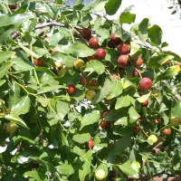 فروش چاه عمیق