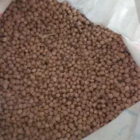 فروش نخود