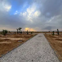 باپیش-پرداخت-200میلیونی-باغ-1000متری-بخرید
