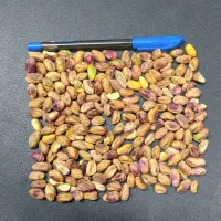 مغز پسته‌ای که برای «مصرف» می‌خری، نه برای ویترین