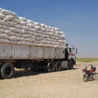 فروش‌ کاه