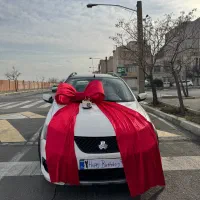 ساخت پاپیون بزرگ در رنگ‌های مختلف