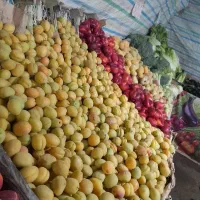 نیروی کار