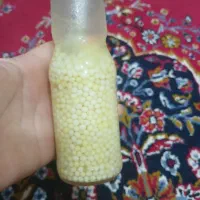 خاویار حلزون حلزون مولد با باکس