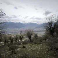 زمین-شهرک-گچی